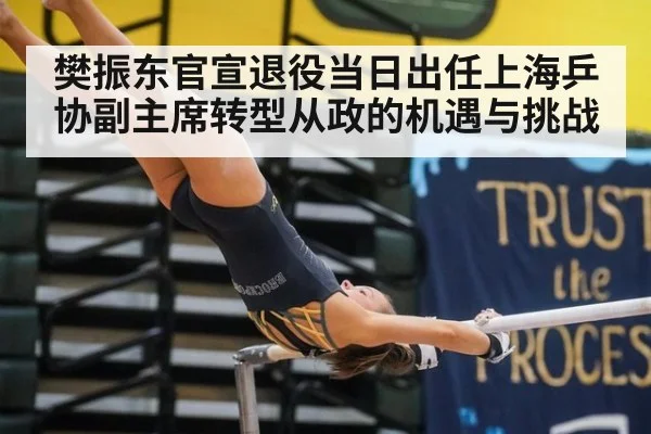 樊振东官宣退役当日出任上海乒协副主席转型从政的机遇与挑战
