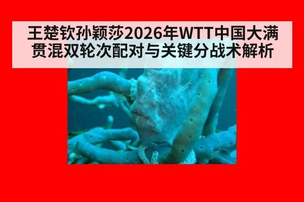王楚钦孙颖莎2026年WTT中国大满贯混双轮次配对与关键分战术解析