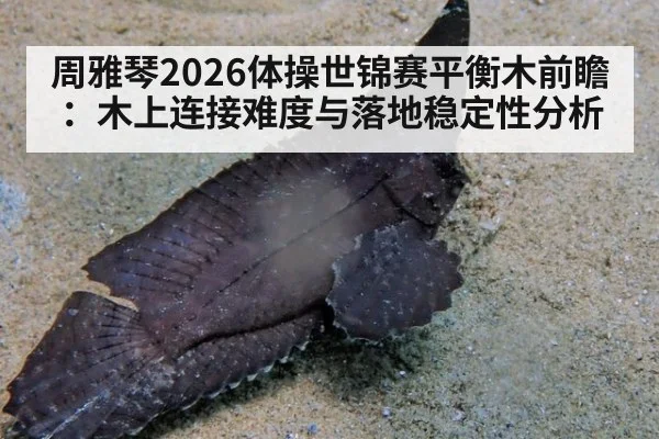 周雅琴2026体操世锦赛平衡木前瞻:木上连接难度与落地稳定性分析